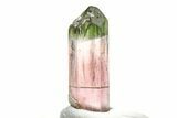 Bi-Colored Elbaite Tourmaline Crystal - Rubaya, Congo #206881-1